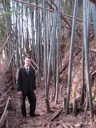 Robert in a bamboo forest.