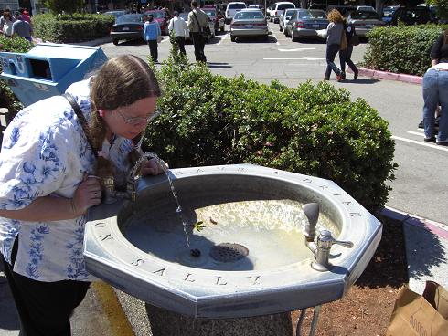 Sally's Fountain